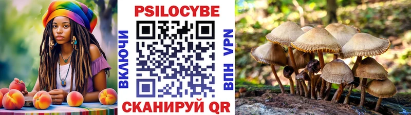 Псилоцибиновые грибы Psilocybine cubensis  Жуковский 