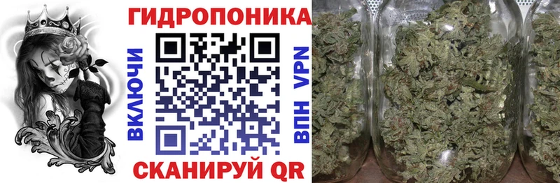 мориарти какой сайт  Жуковский  Конопля VHQ 